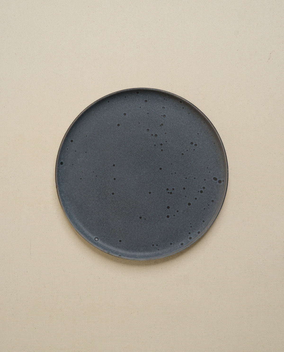 Daily Table Dinner Plate