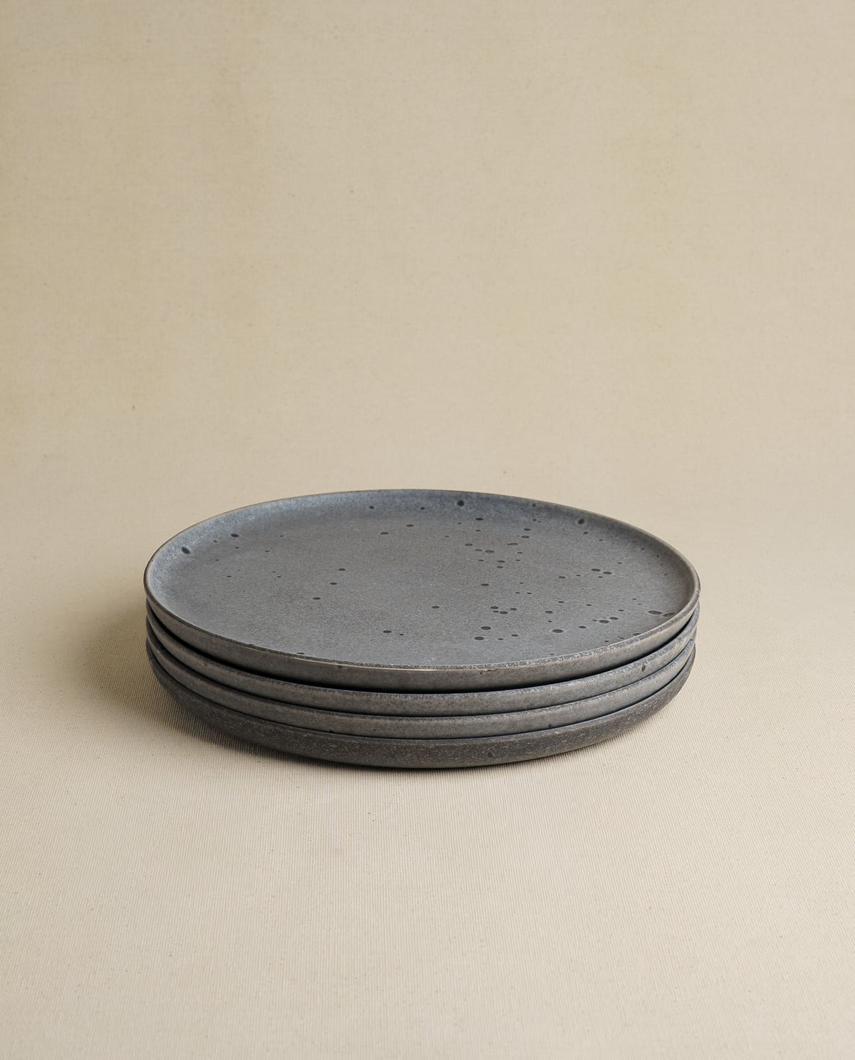 Daily Table Dinner Plate