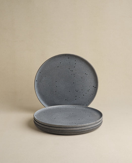 Daily Table Dinner Plate