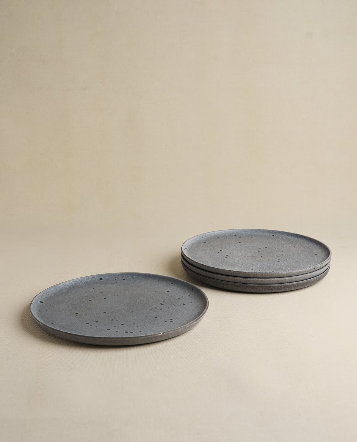 Daily Table Dinner Plate