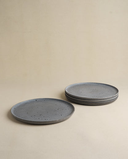Daily Table Dinner Plate
