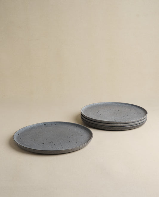 Daily Table Dinner Plate
