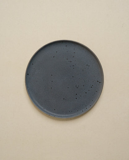 Daily Table Dinner Plate