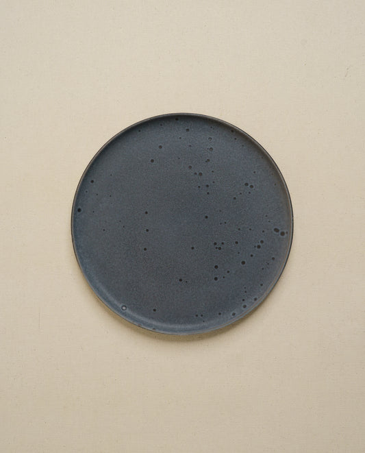 Daily Table Dinner Plate