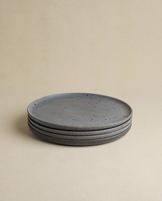 Daily Table Dinner Plate